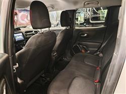 جيب رينيجيد